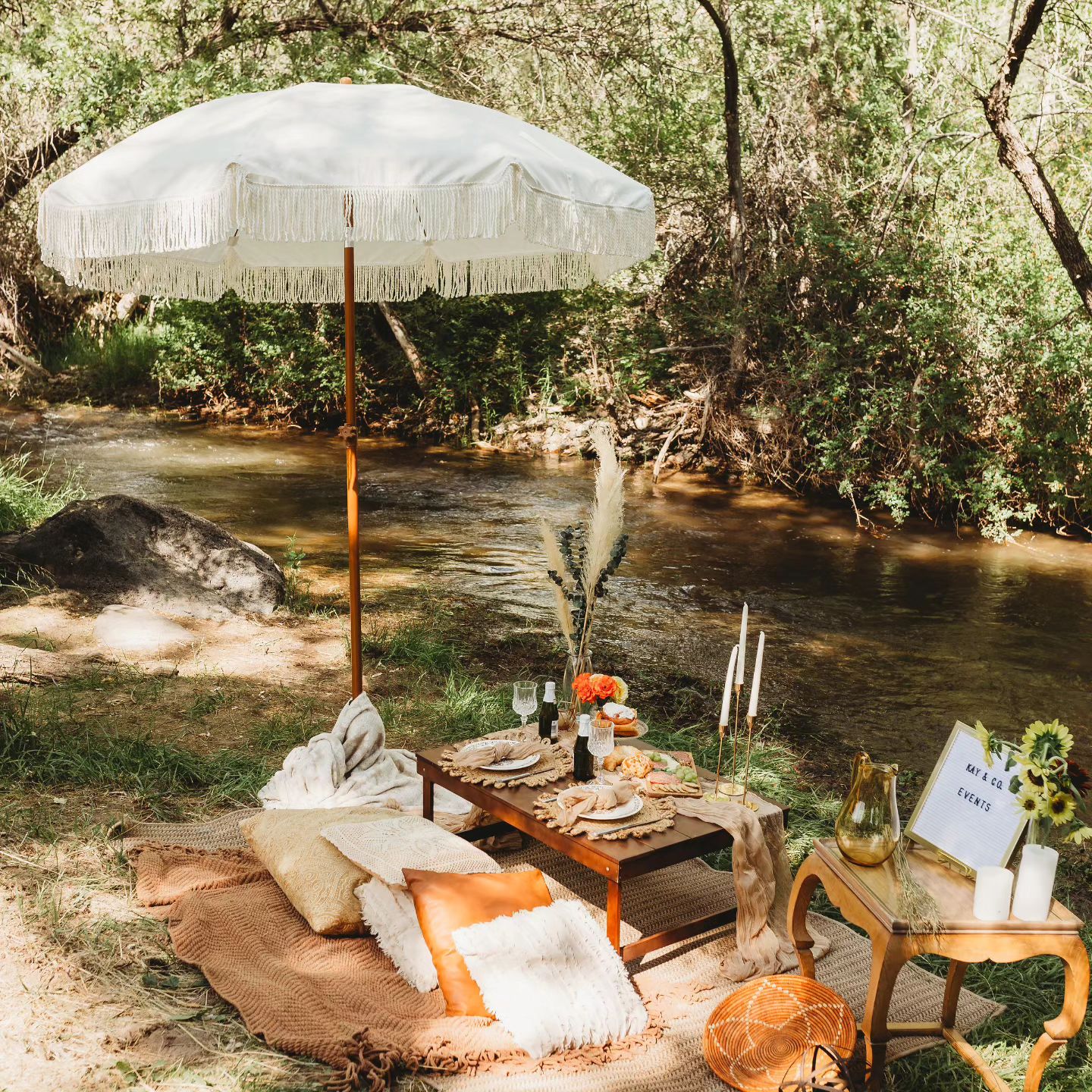 Premium picnic setup